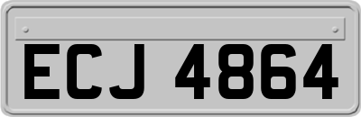 ECJ4864