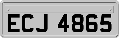 ECJ4865