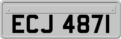 ECJ4871