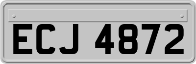 ECJ4872
