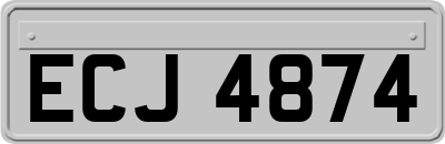 ECJ4874