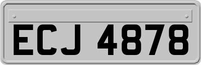 ECJ4878