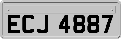 ECJ4887