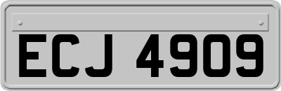 ECJ4909