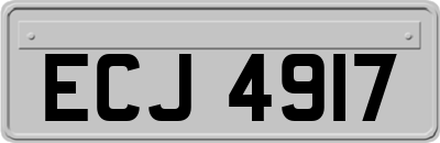 ECJ4917