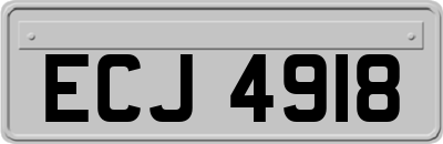 ECJ4918