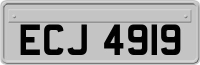 ECJ4919