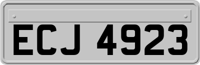 ECJ4923