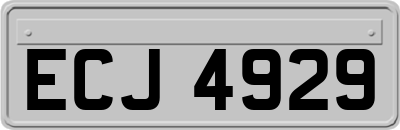 ECJ4929