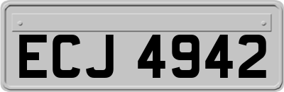 ECJ4942