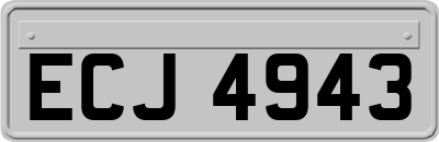 ECJ4943