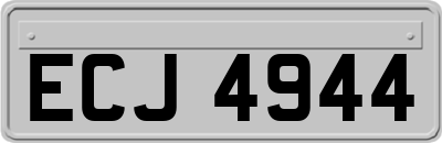 ECJ4944