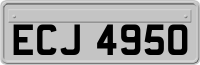 ECJ4950