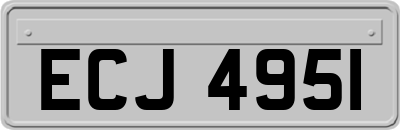 ECJ4951