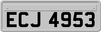 ECJ4953