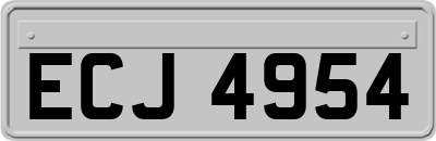 ECJ4954