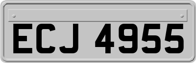 ECJ4955