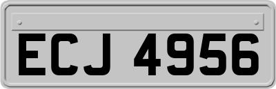ECJ4956