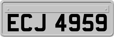 ECJ4959