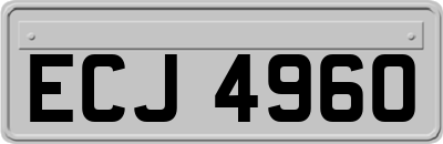 ECJ4960