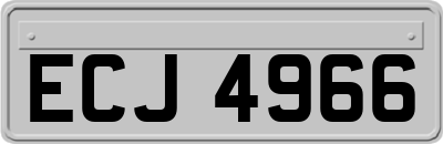 ECJ4966