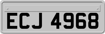 ECJ4968