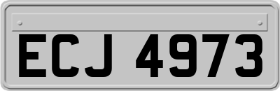 ECJ4973