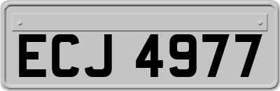 ECJ4977