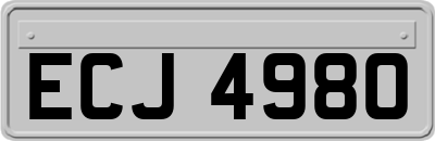 ECJ4980