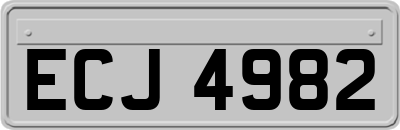 ECJ4982