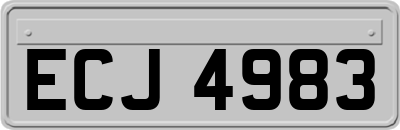 ECJ4983