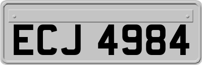 ECJ4984