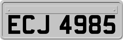 ECJ4985