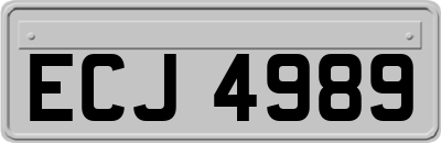 ECJ4989