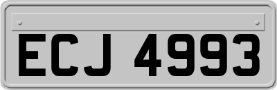 ECJ4993