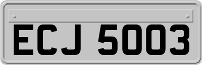 ECJ5003