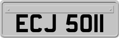 ECJ5011