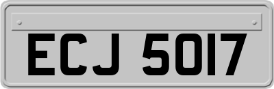 ECJ5017