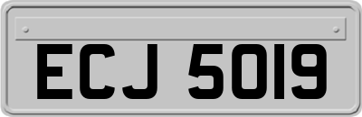 ECJ5019