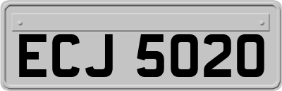 ECJ5020
