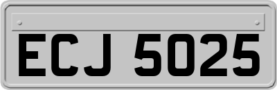 ECJ5025