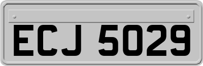 ECJ5029