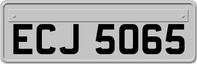 ECJ5065