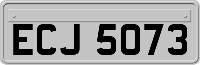 ECJ5073