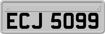 ECJ5099