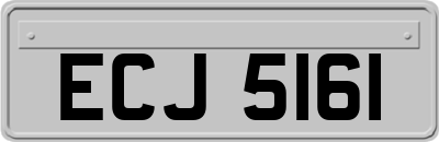 ECJ5161