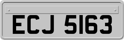 ECJ5163