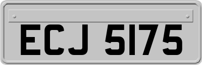 ECJ5175