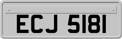 ECJ5181