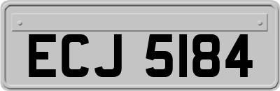 ECJ5184